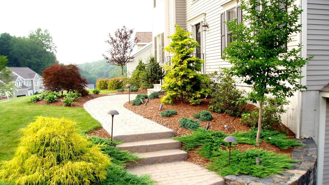Cleanup & Services in North Carolina